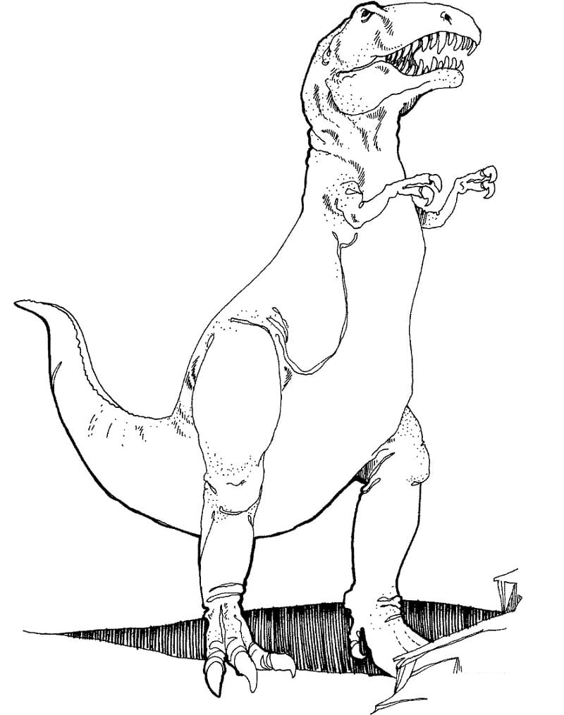 Coloriage dinosaure tyrannosaure