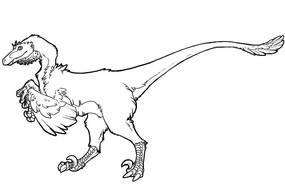 Coloriage dinosaure vélociraptor 1