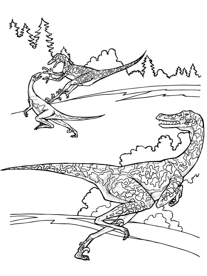 Coloriage dinosaure vélociraptor 2