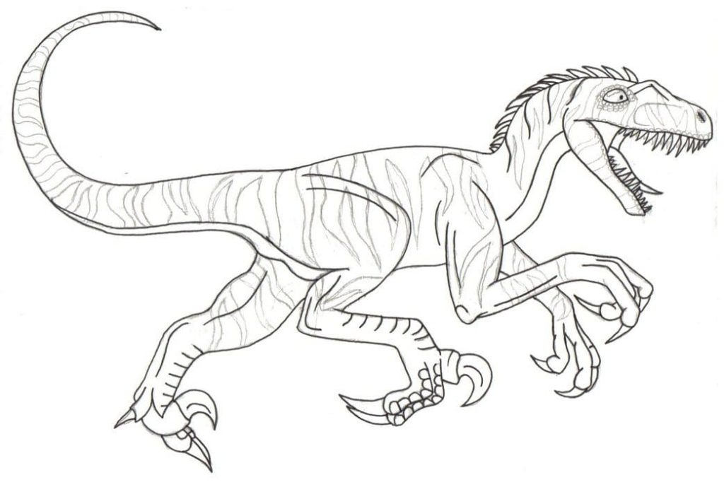 Coloriage dinosaure vélociraptor 3 à imprimer