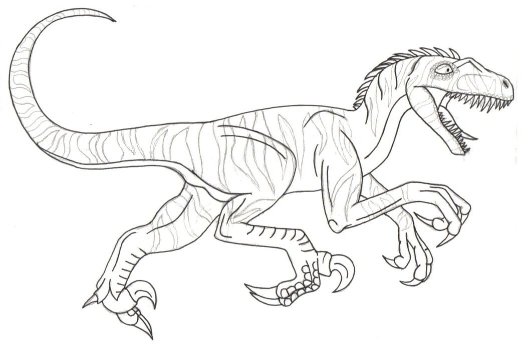 Coloriage dinosaure vélociraptor 3