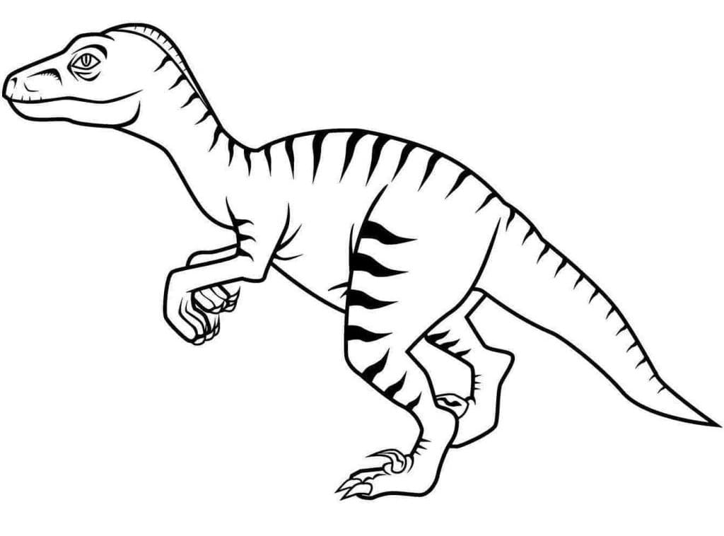 Coloriage dinosaure vélociraptor 4