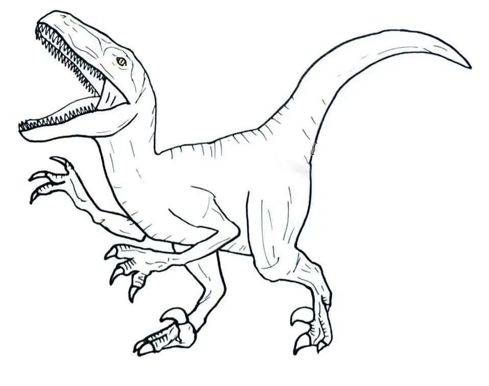 Coloriage dinosaure vélociraptor 5