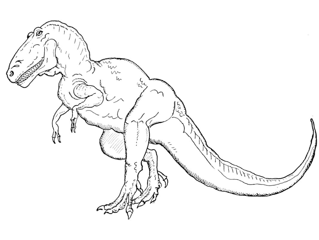 Coloriage tyrannosaure