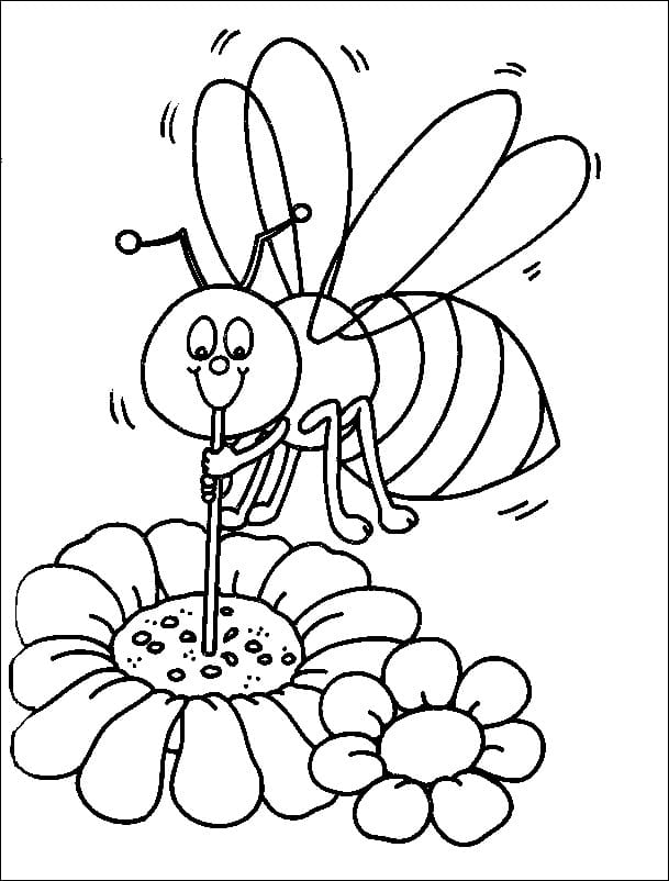Coloriage abeille avec fleur