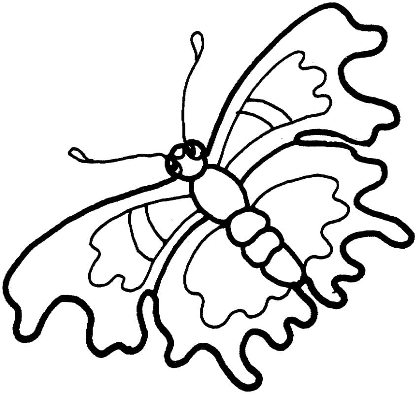 Coloriage adorable papillon à imprimer