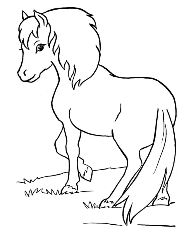 Coloriage adorable poney à imprimer