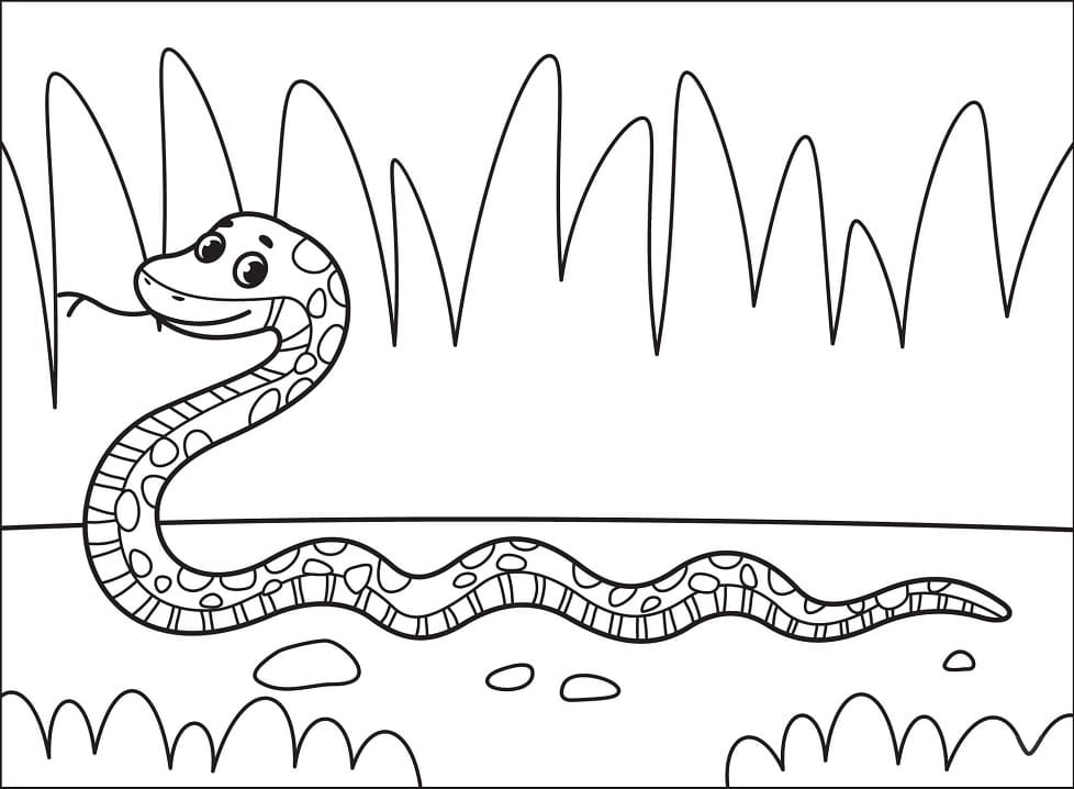 Coloriage adorable serpent
