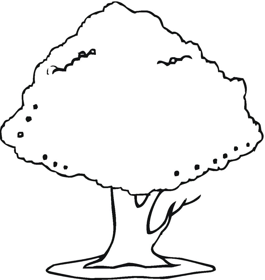 Coloriage arbre 1