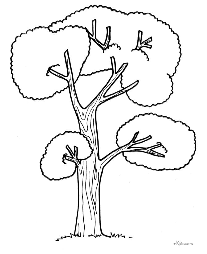 Coloriage arbre 3