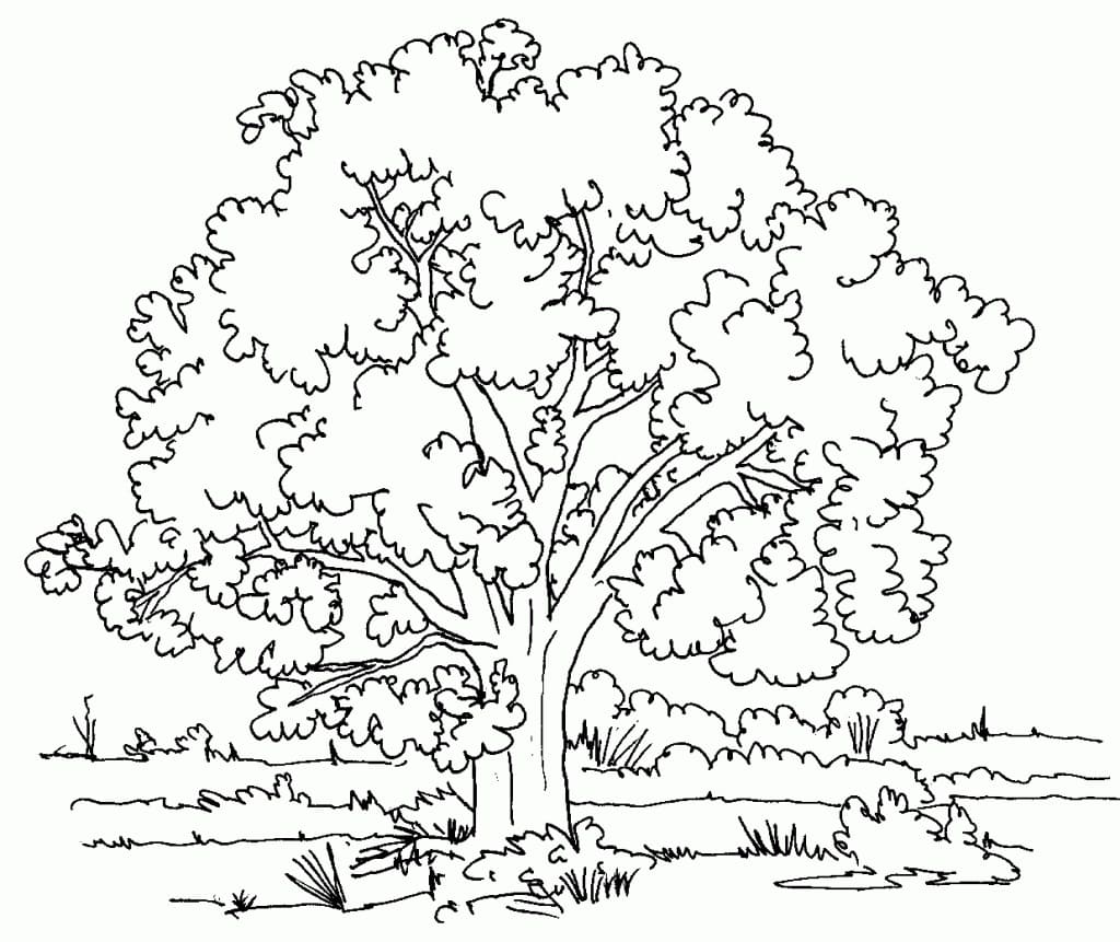 Coloriage arbre 9