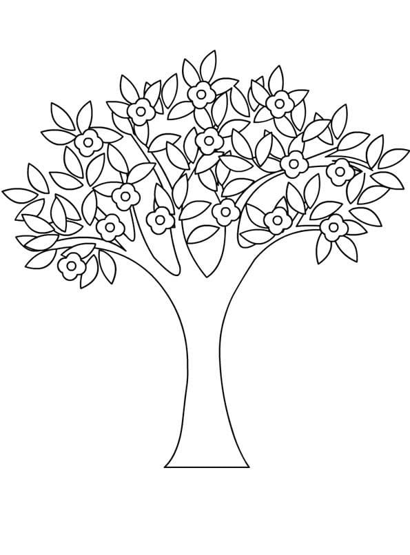 Coloriage arbre de printemps 1