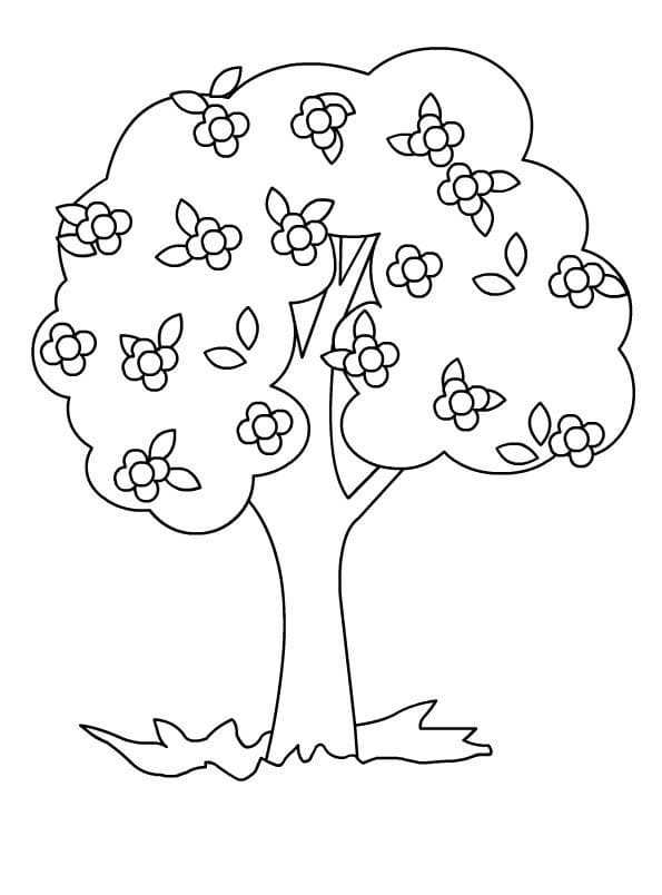 Coloriage arbre de printemps 5