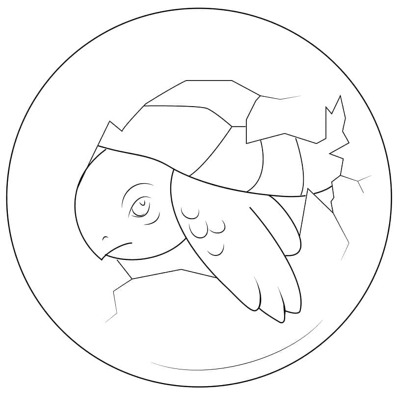Coloriage bébé tortue dans l'oeuf