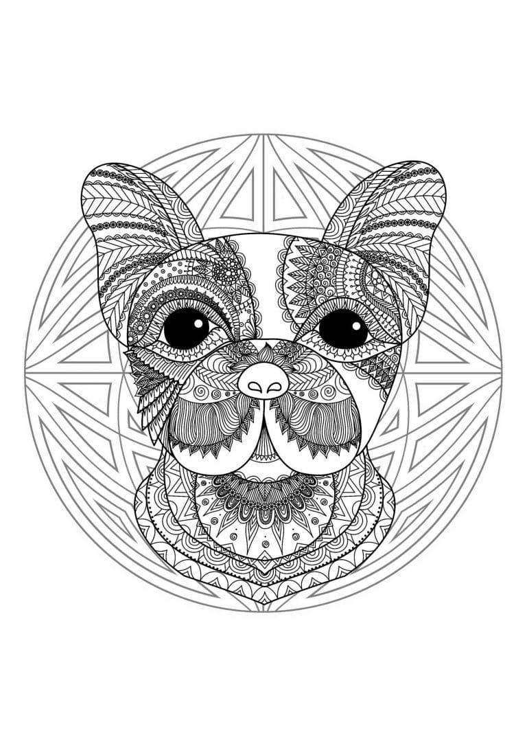 Coloriage bouledogue animaux mandala