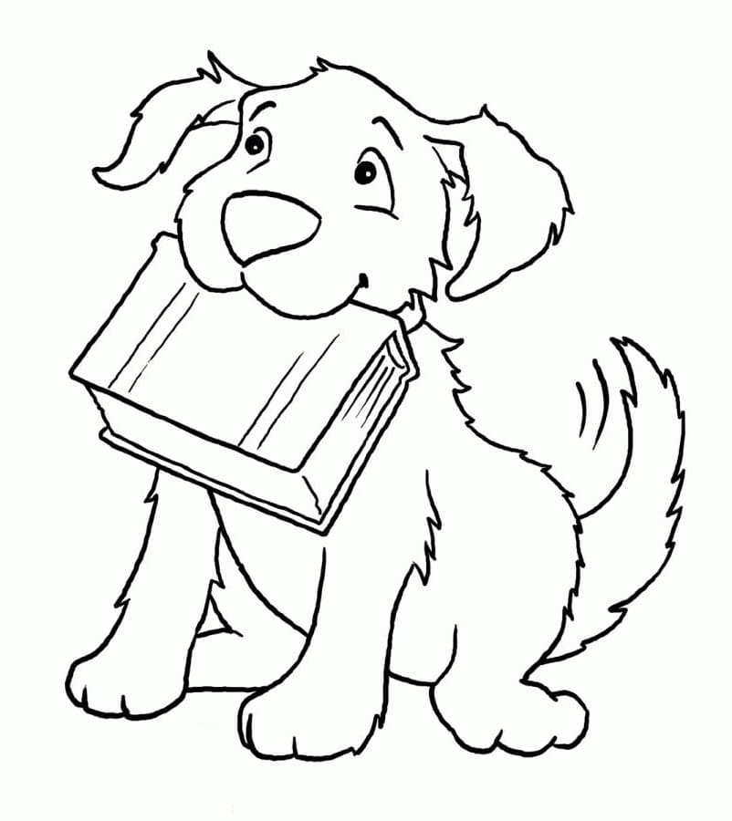 Coloriage chien et livre
