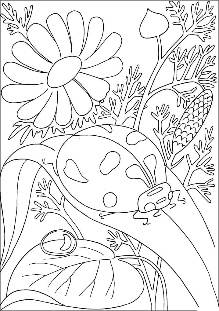 Coloriage coccinelle sur feuille