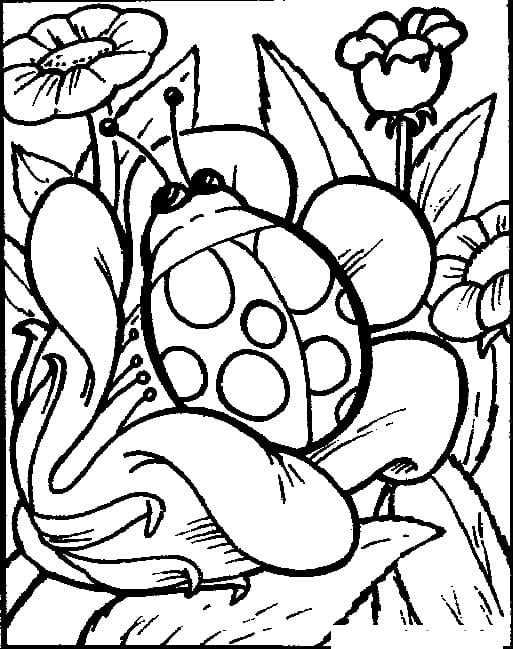 Coloriage coccinelle sur une fleur à imprimer