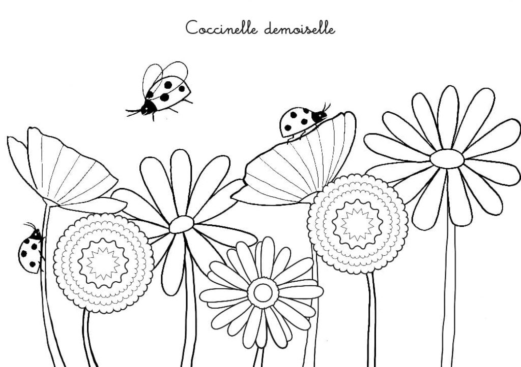 Coloriage coccinelles et fleurs à imprimer