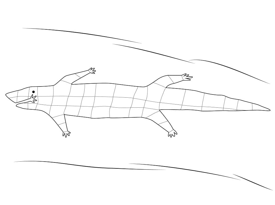 Coloriage crocodile aborigène