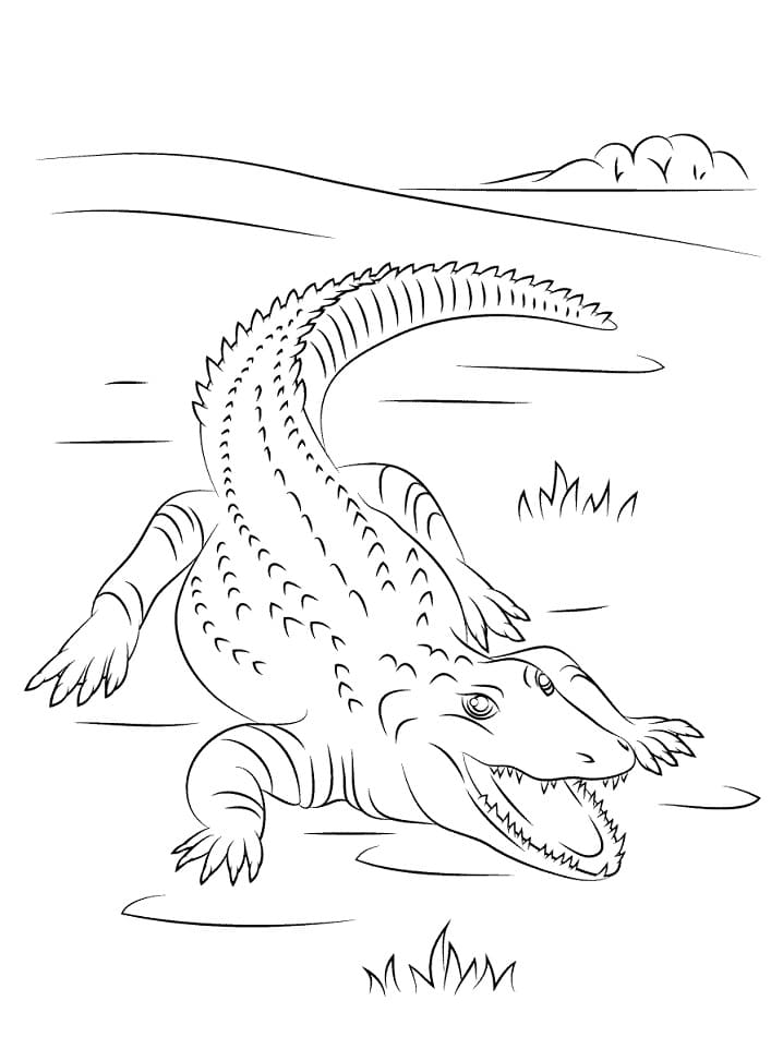 Coloriage crocodile mignon à imprimer