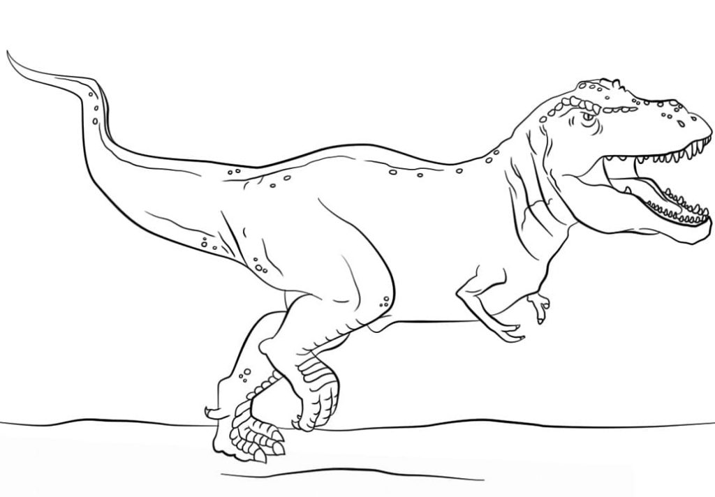 Coloriage dinosaure t rex à imprimer