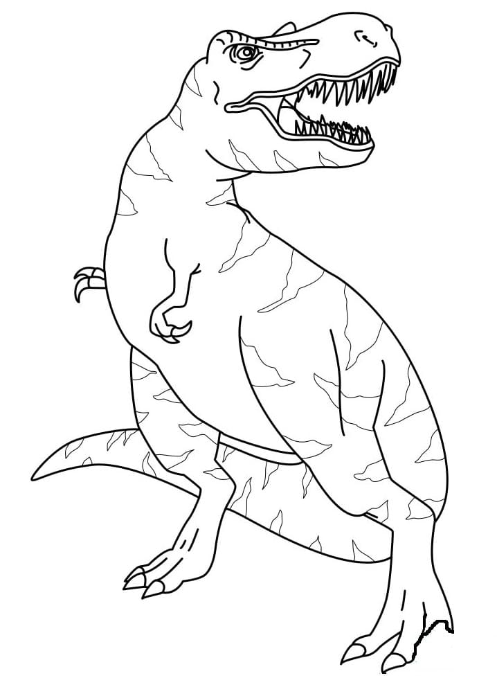 Coloriage dinosaure t rex 3