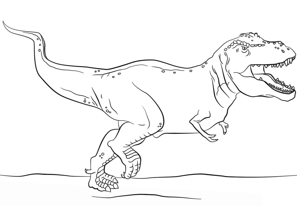 Coloriage dinosaure t rex