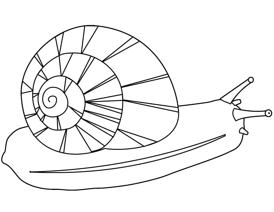 Coloriage escargot 6 à imprimer