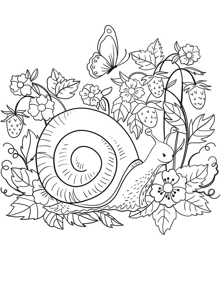 Coloriage escargot et fraises à imprimer