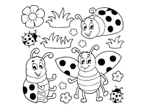 Coloriage famille de coccinelle dans la nature à imprimer