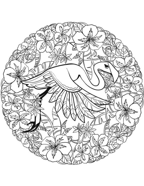 Coloriage flamant animaux mandala à imprimer