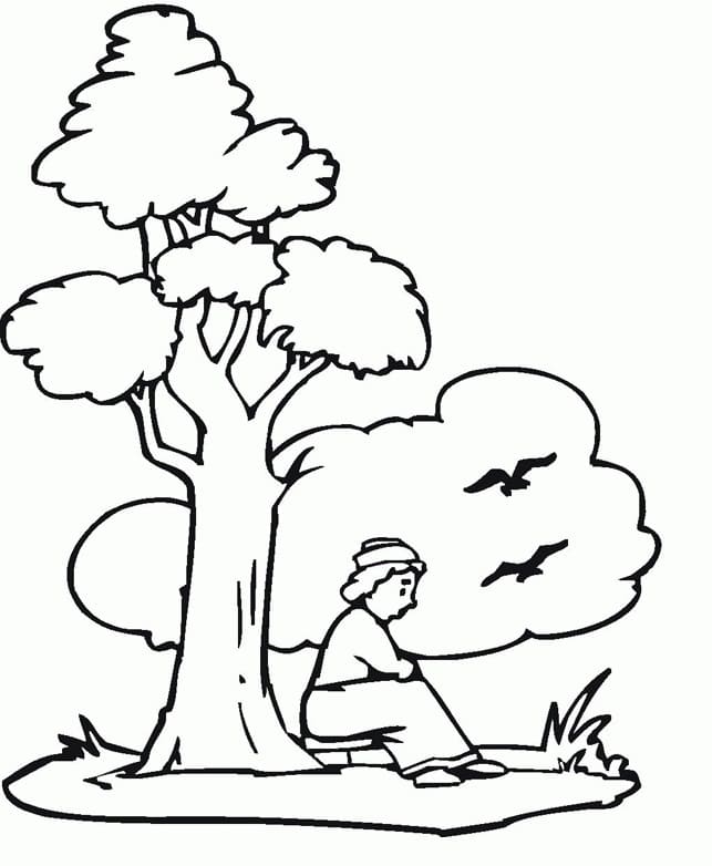 Coloriage garçon et arbre