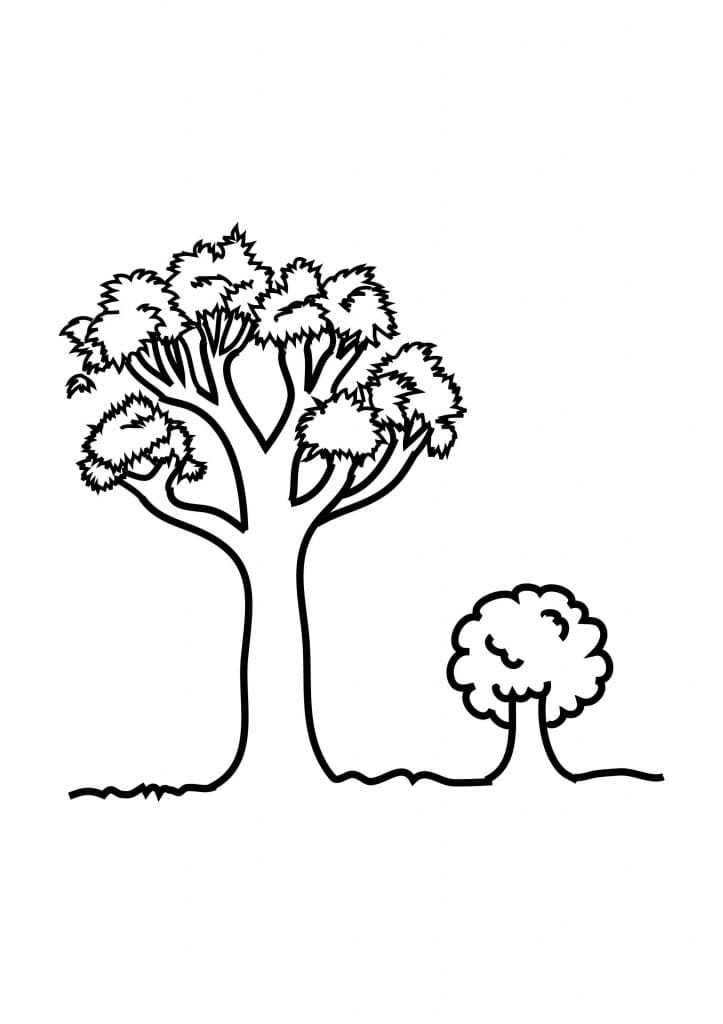 Coloriage grand et petit arbre