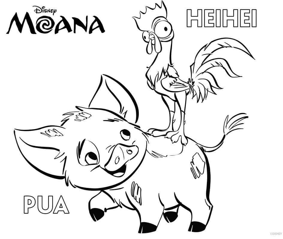 Coloriage hei hei et pua