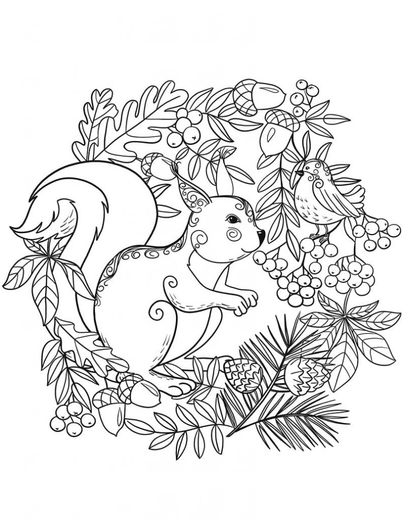 Coloriage joli écureuil à imprimer