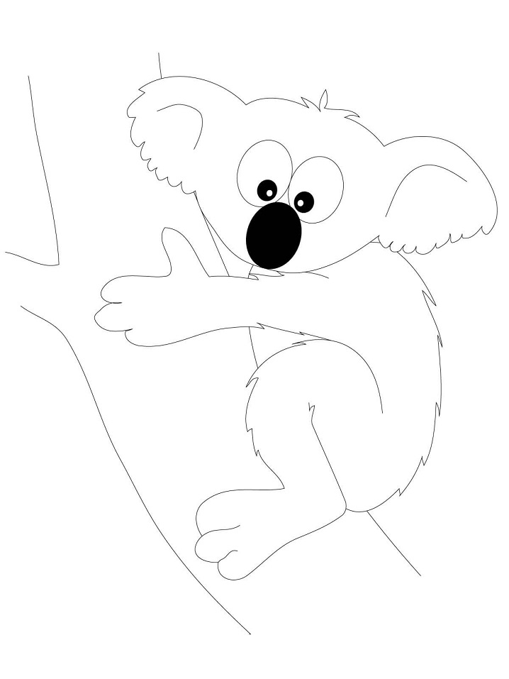 Coloriage koala drôle