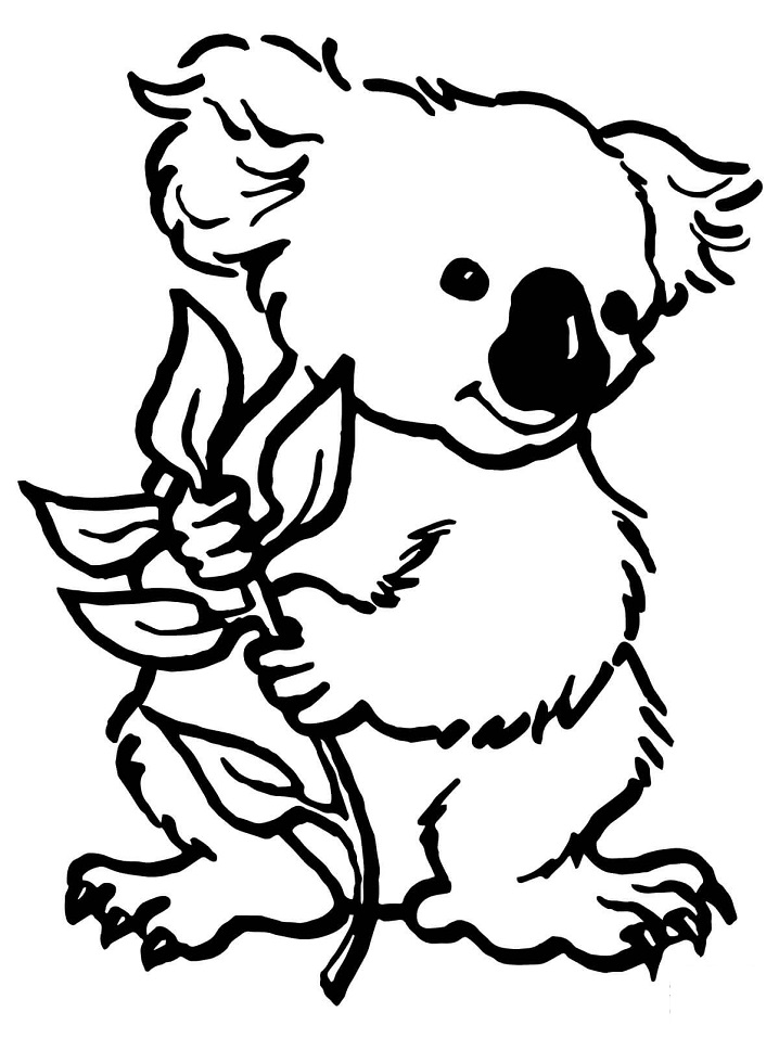 Coloriage koala mignon 1