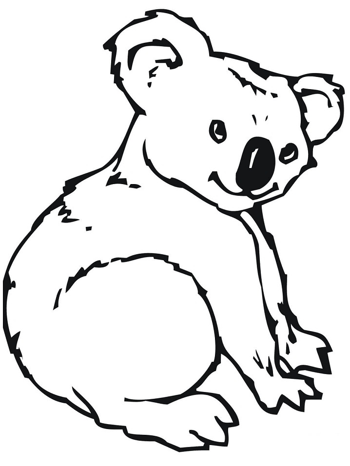 Coloriage koala normal