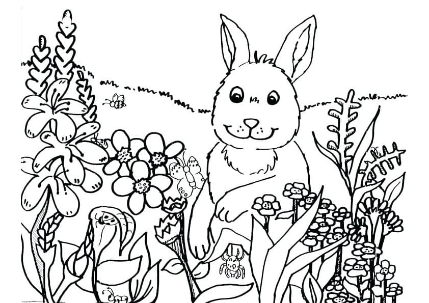 Coloriage lapin de printemps