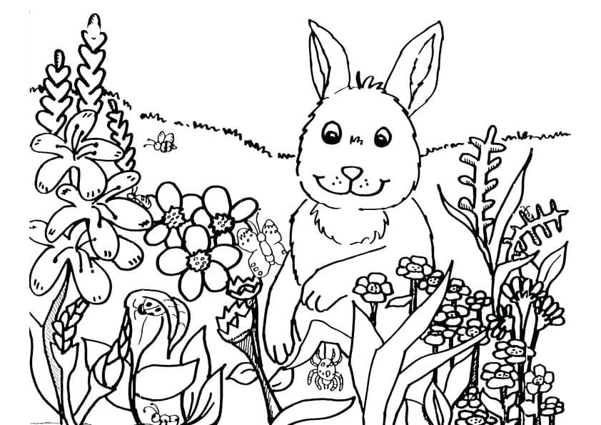 Coloriage lapin de printemps à imprimer