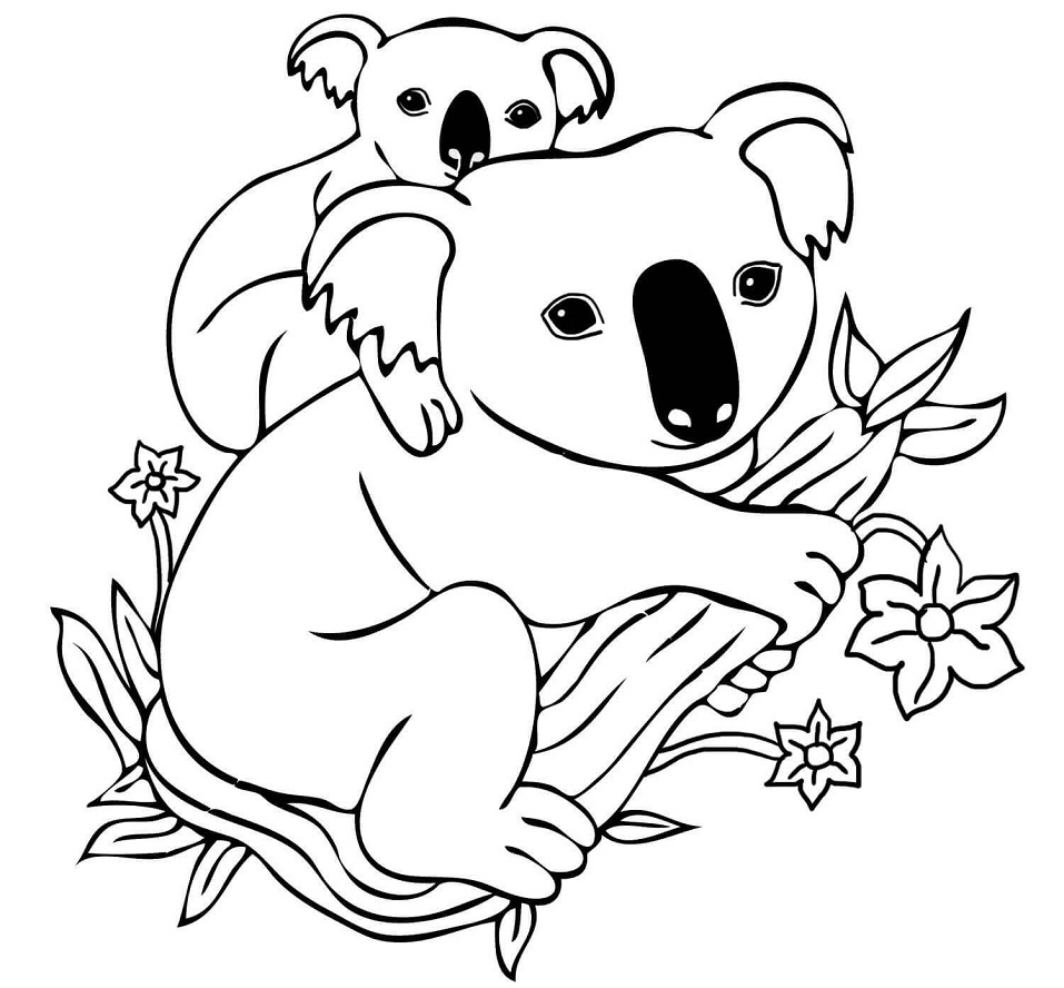 Coloriage Koala à imprimer