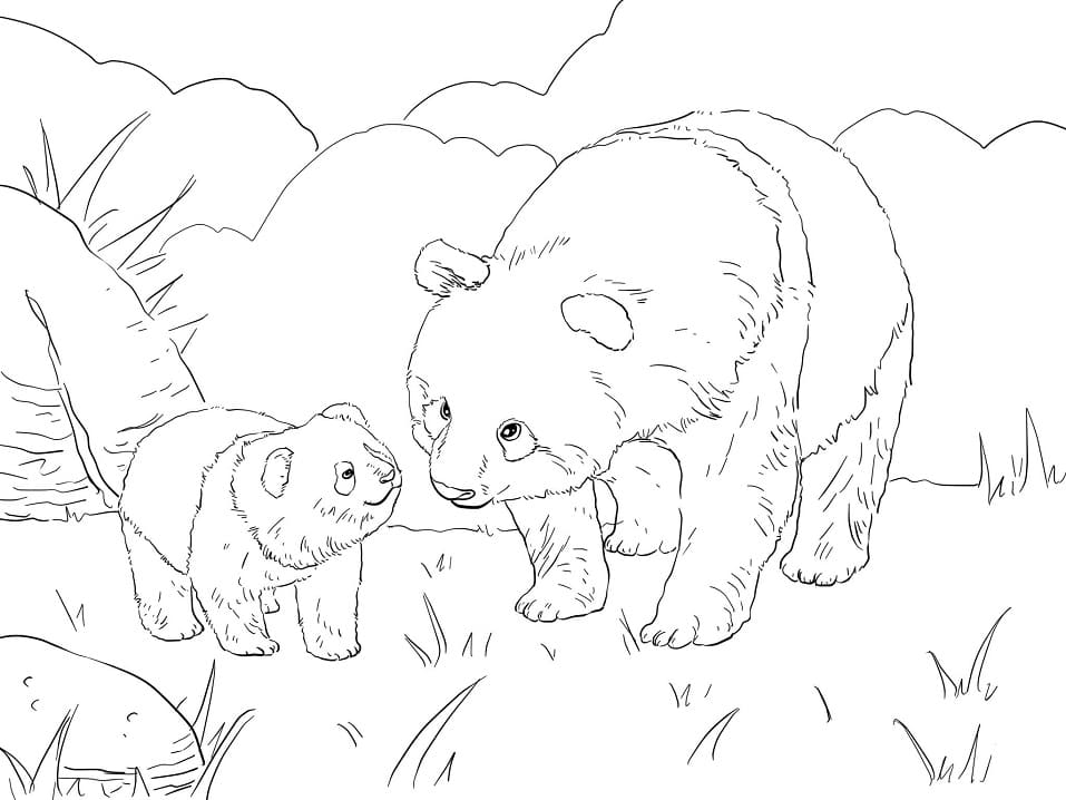 Coloriage mère panda et ourson mignon