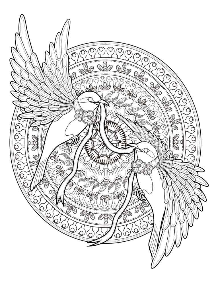 Coloriage oiseaux animaux mandala