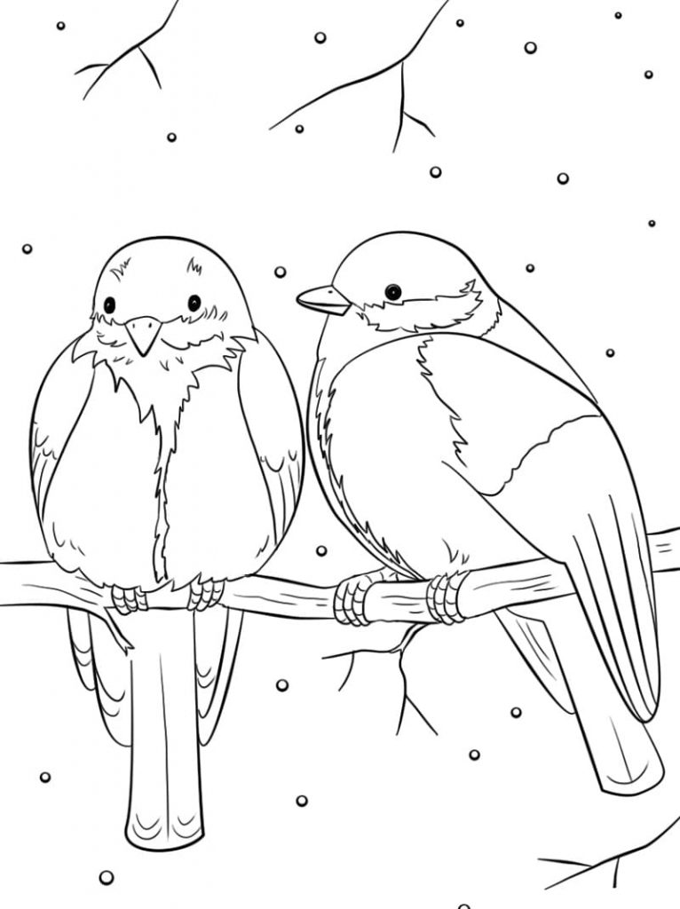 Coloriage oiseaux d’hiver à imprimer