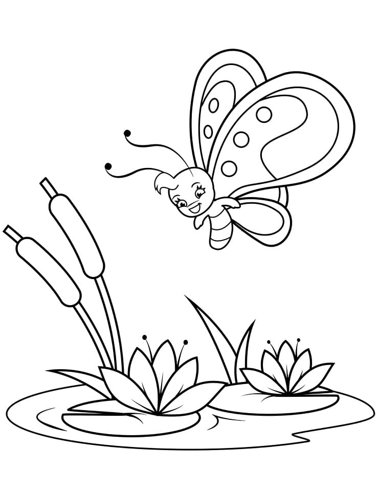 Coloriage papillon 5