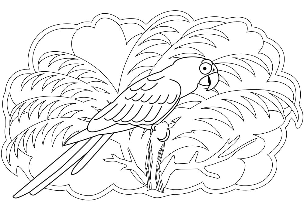 Coloriage perroquet 3 à imprimer