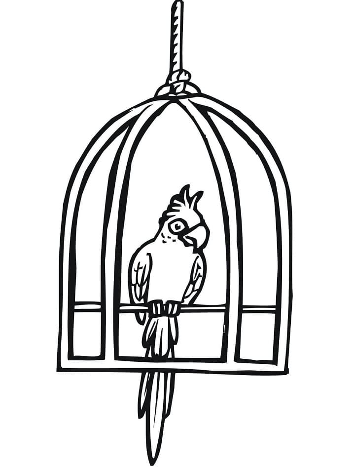 Coloriage perroquet en cage