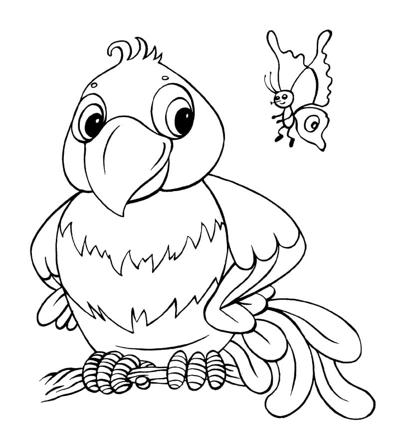 Coloriage perroquet et papillon