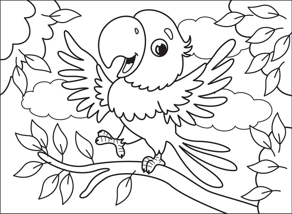 Coloriage Perroquet à imprimer